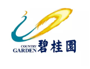 鸠江碧桂园地产